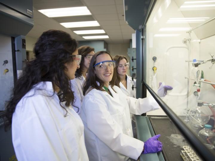 Students working in the chemical fume hood wearing labcoats, gloves and safety glasses